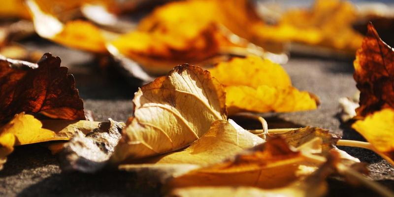 产学研深度融合：常州欧凯如何借力高校创新，打造工业自动化新引擎？