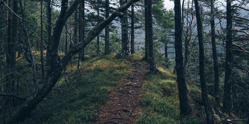 从蓝图到杰作:揭秘常州欧凯如何以精密工艺驾驭大型复杂焊接结构件的制造挑战