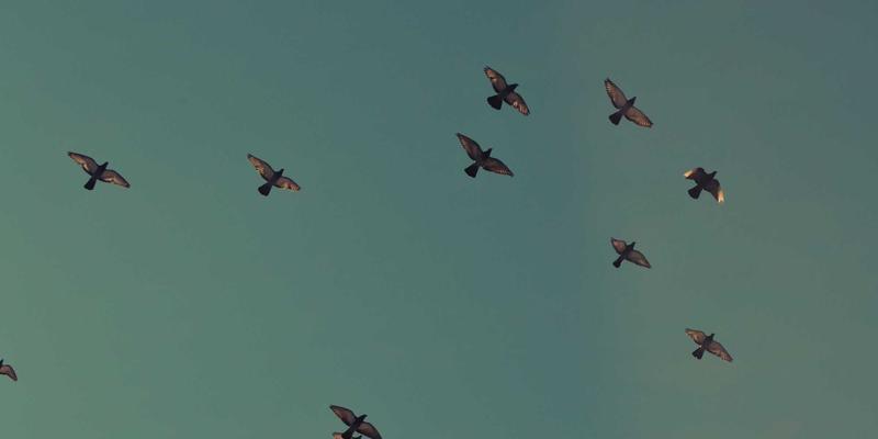 微米级精度如何炼成？揭秘常州欧凯精密直线模组与伺服控制的协同艺术