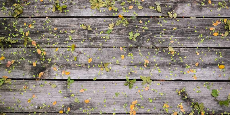 揭秘洁净室精密自动化设备设计：常州欧凯如何以材料与工艺定义行业标准