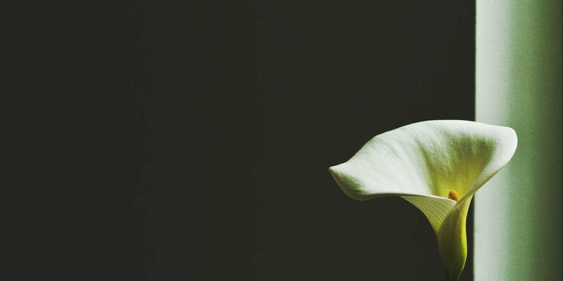 精密致胜，智造未来：深度解读常州欧凯的自动化设备核心零部件选型与自主研发双轮驱动战略